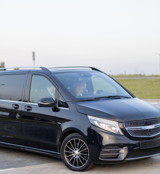 Diseño sin título - 2025-06-29T133233.508